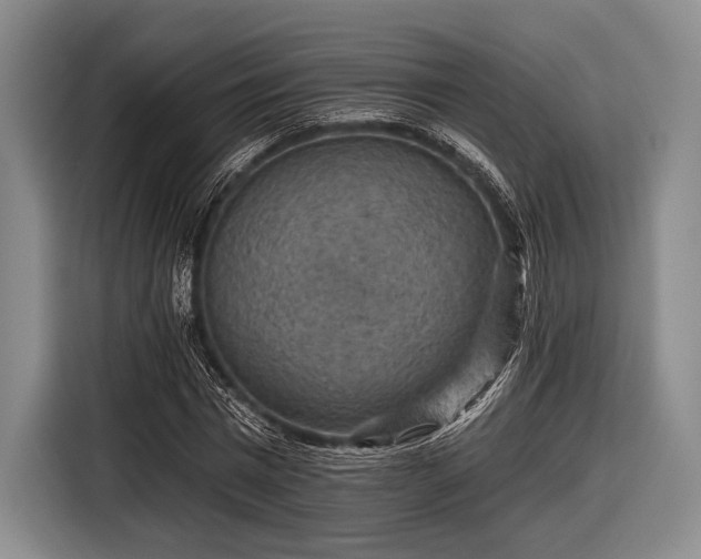 X0000116590777200912171552