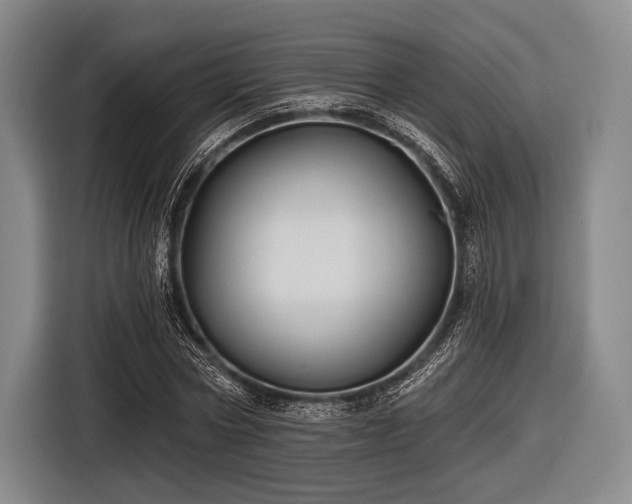 X0000116590778200912171552