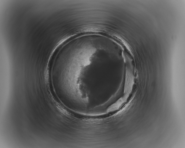 X0000116590779200912171552