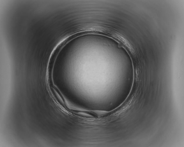 X0000116590780200912171552