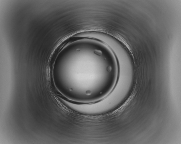 X0000116590781200912171552