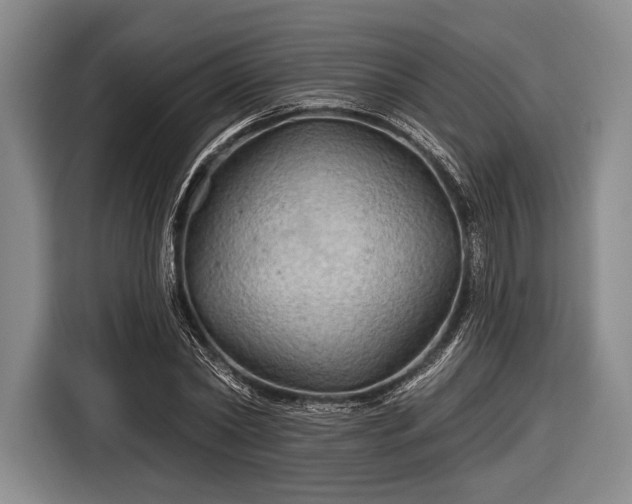 X0000116590782200912171552