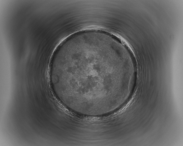 X0000116590783200912171552