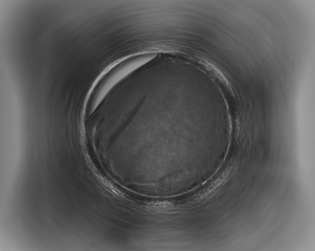 X0000116590784200912171552