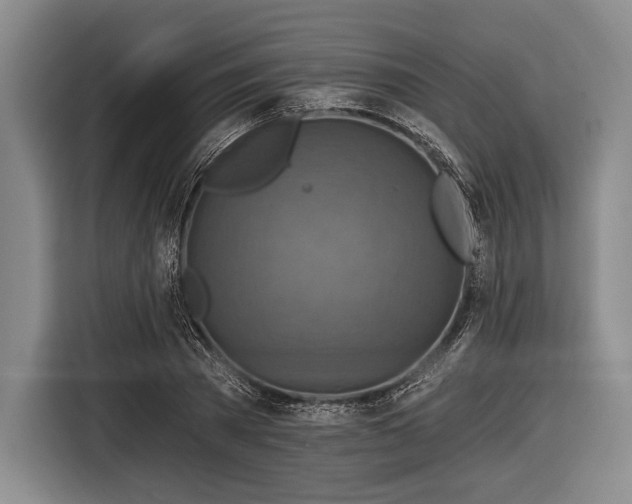 X0000116590785200912171552