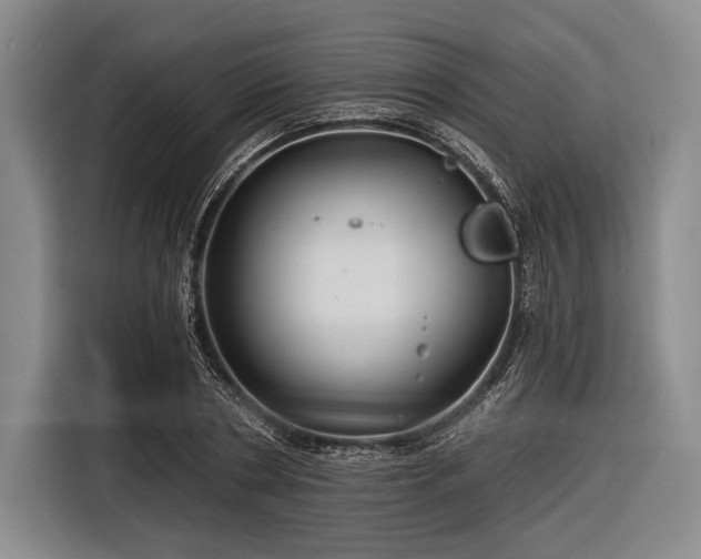 X0000116590786200912171552