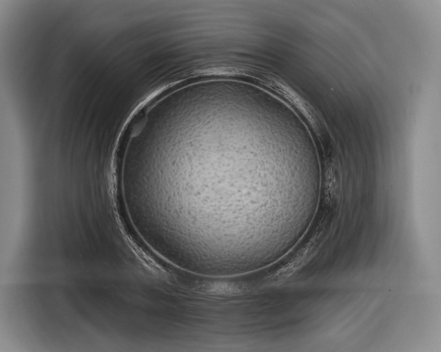 X0000116590787200912171552