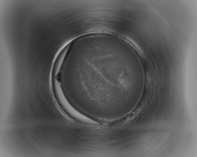 X0000116590788200912171552