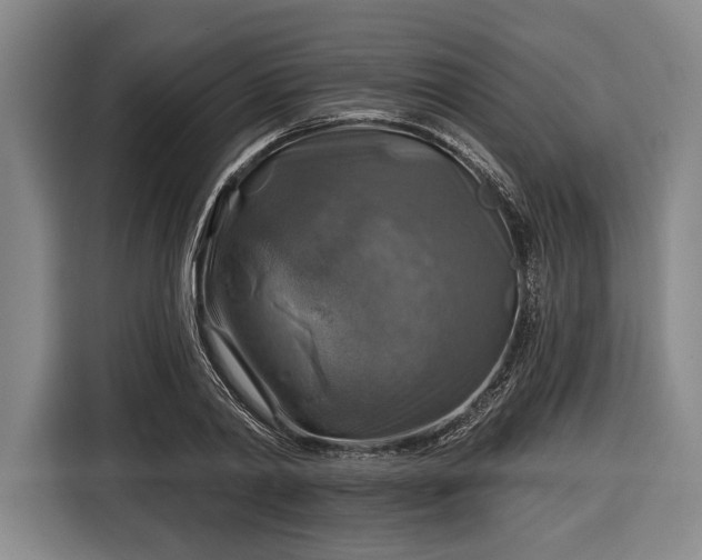 X0000116590790200912171552