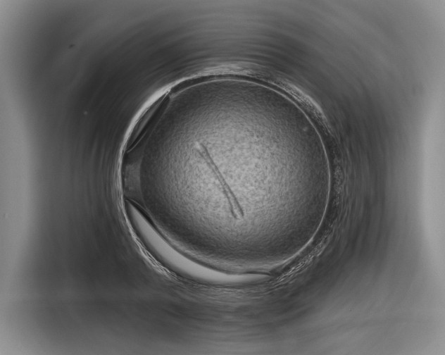 X0000116590792200912171552