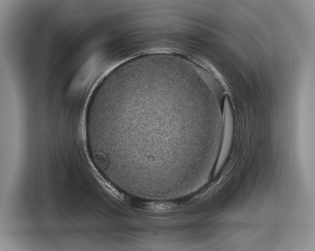 X0000116590795200912171552