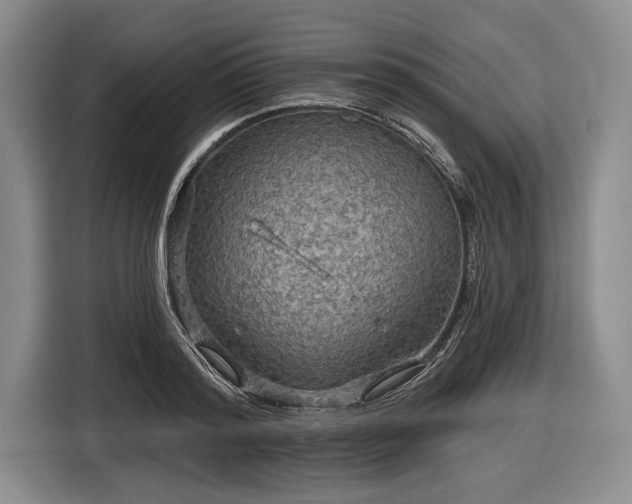 X0000116590796200912171552