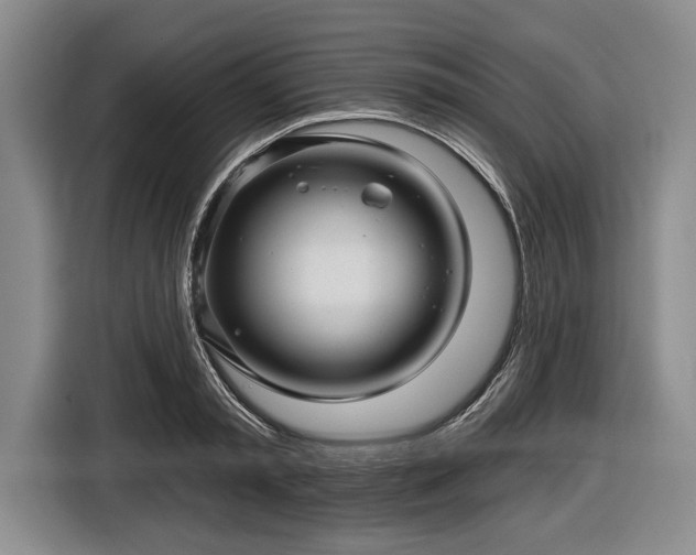 X0000116590797200912171552