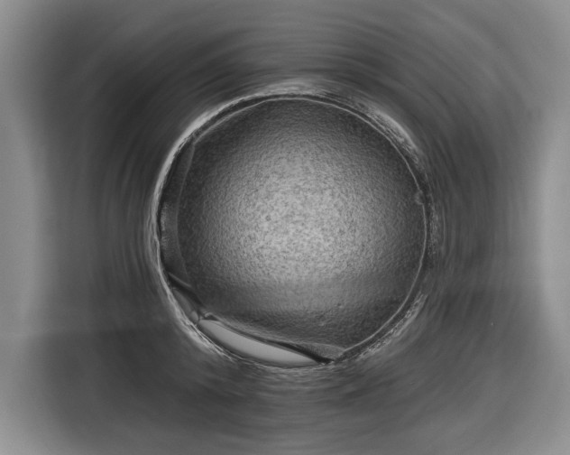 X0000116590800200912171552