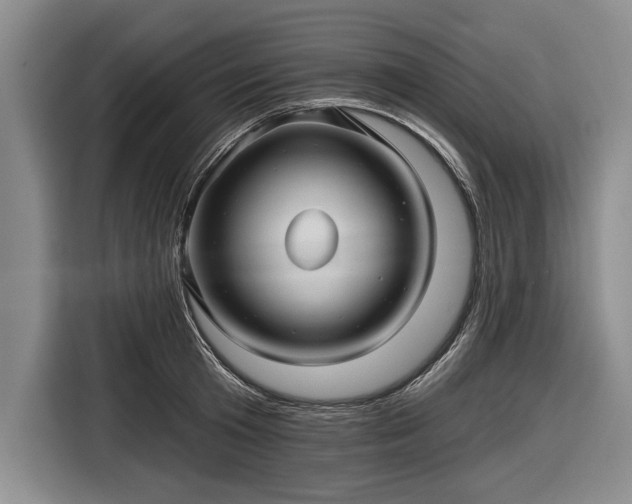 X0000116590801200912171552