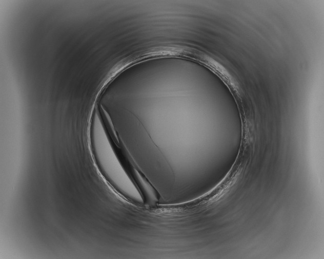 X0000116590802200912171552