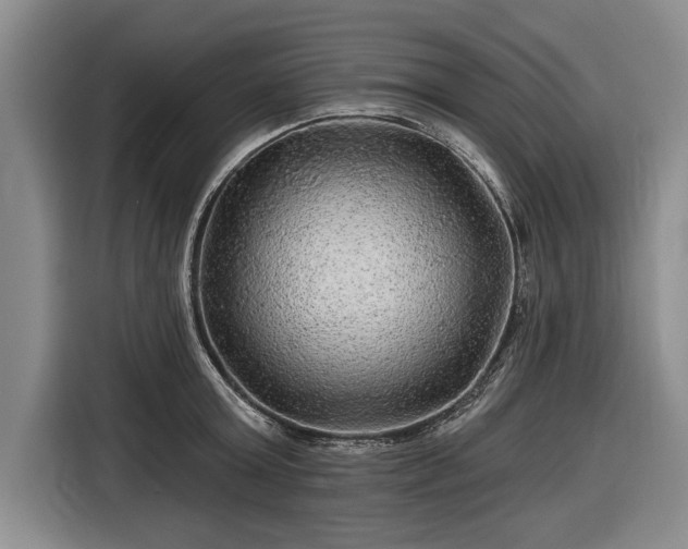 X0000116590803200912171552