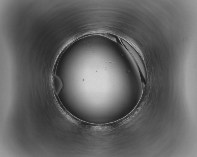 X0000116590805200912171552