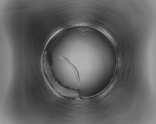 X0000116590806200912171552