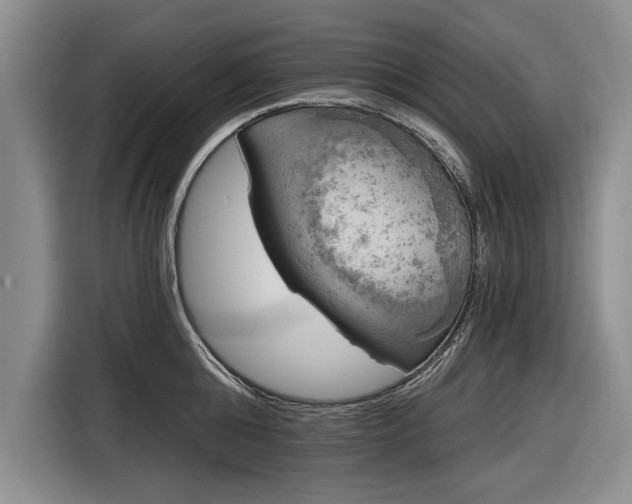 X0000116590808200912171552