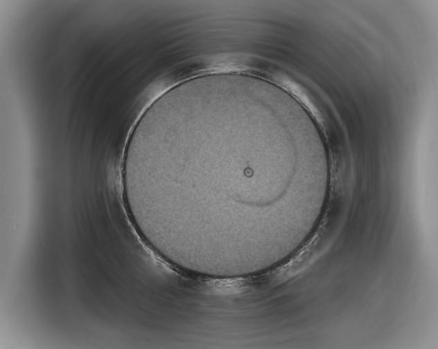 X0000116590810200912171552