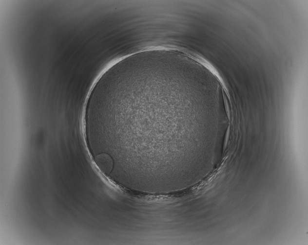 X0000116590811200912171552