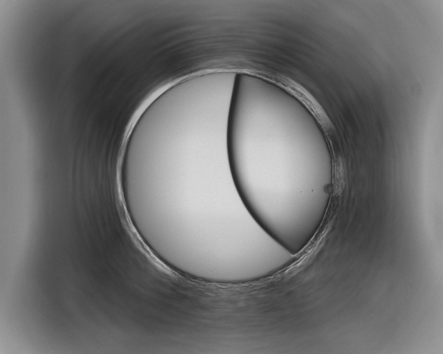 X0000116590812200912171552