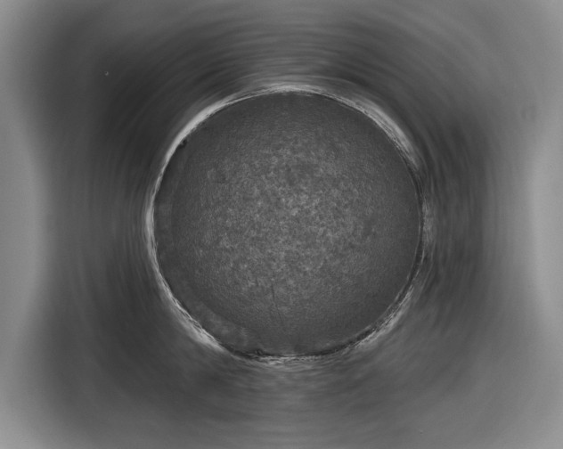 X0000116590814200912171552