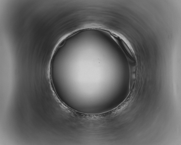 X0000116590815200912171552