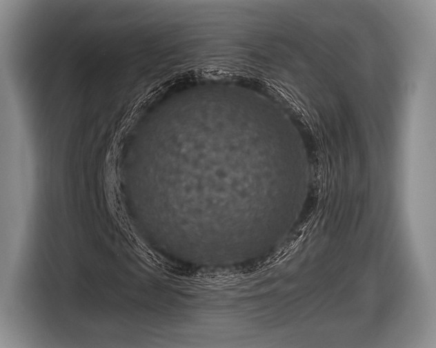 X0000116590817200912171551