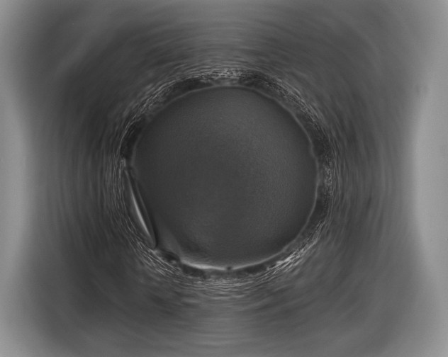 X0000116590818200912171551