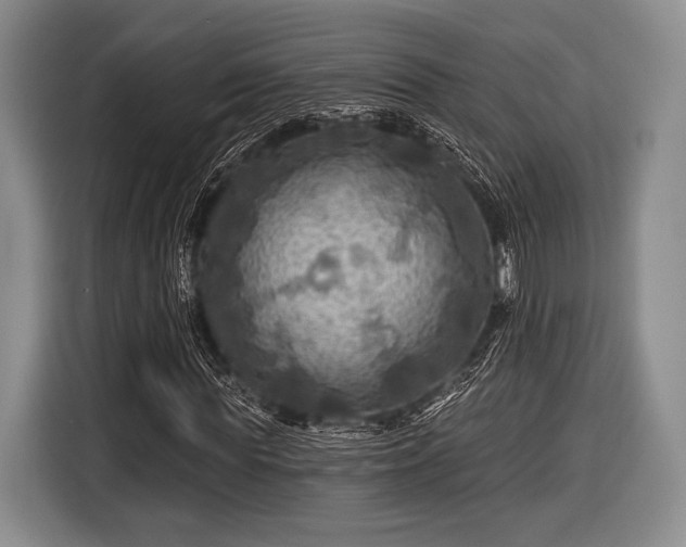 X0000116590819200912171551