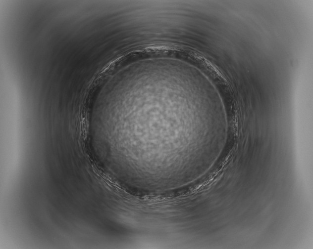 X0000116590821200912171551