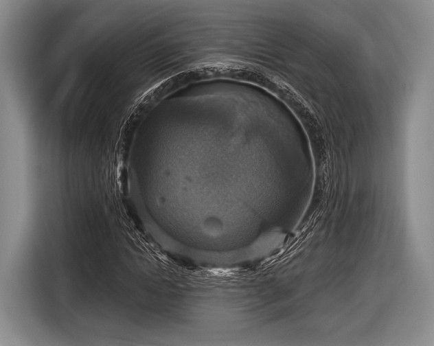 X0000116590822200912171551