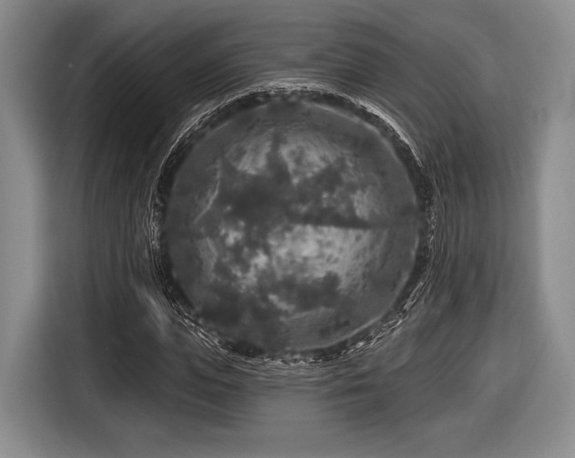 X0000116590823200912171551