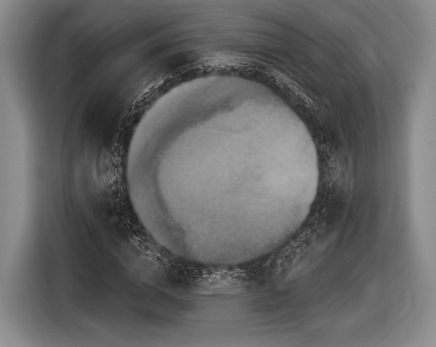 X0000116590824200912171551