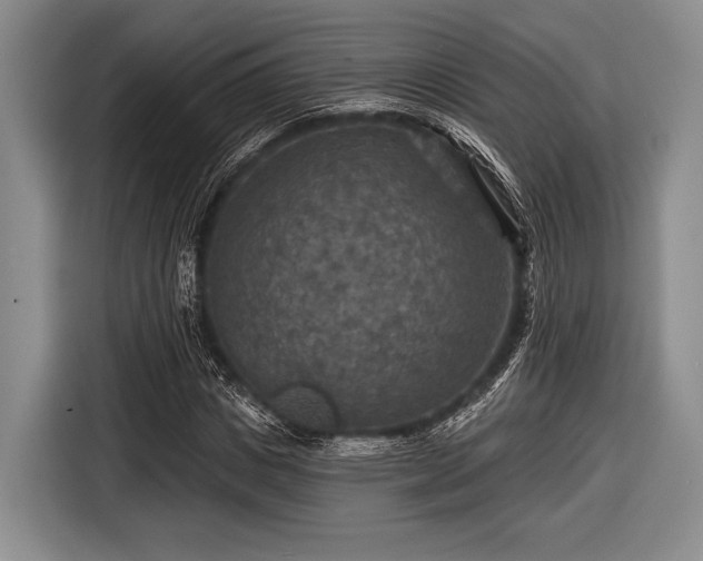 X0000116590825200912171551