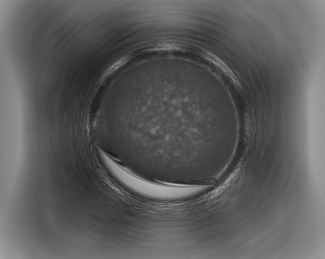 X0000116590826200912171551