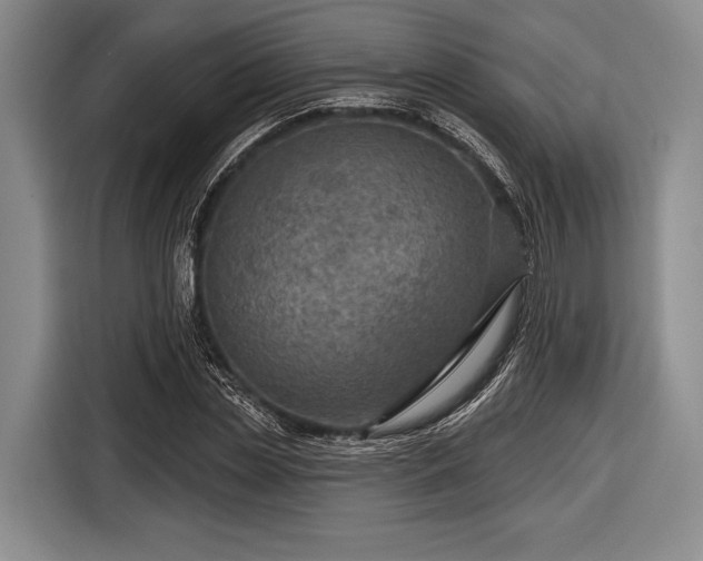 X0000116590829200912171551