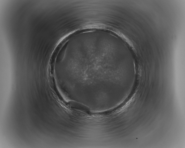 X0000116590830200912171551