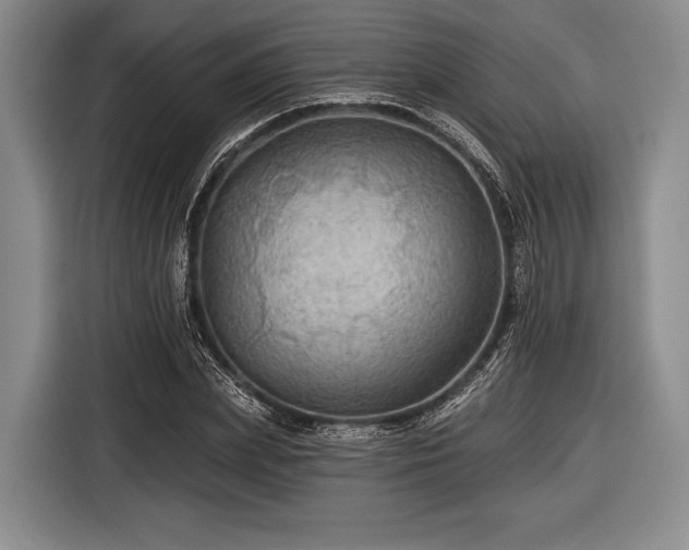 X0000116590831200912171551