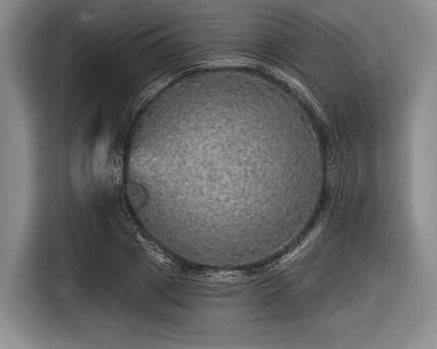 X0000116590833200912171551