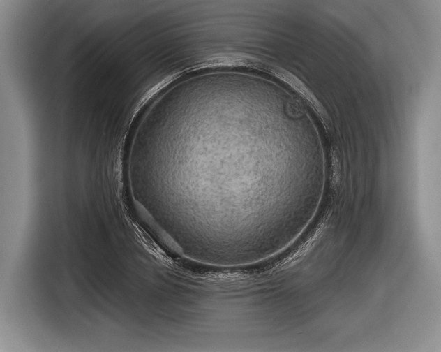 X0000116590834200912171551