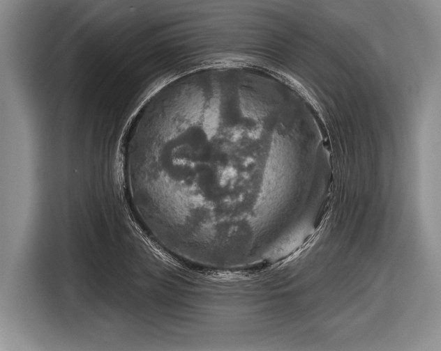 X0000116590835200912171551