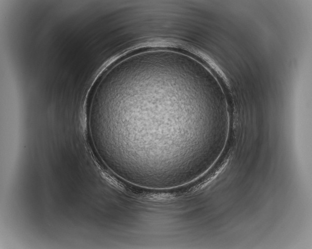 X0000116590837200912171551