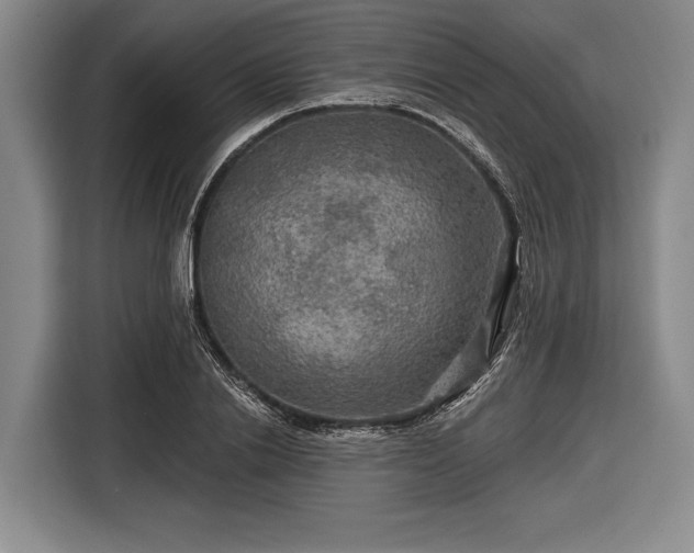 X0000116590838200912171552