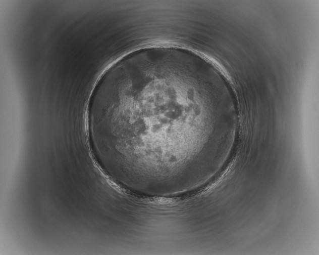 X0000116590839200912171552