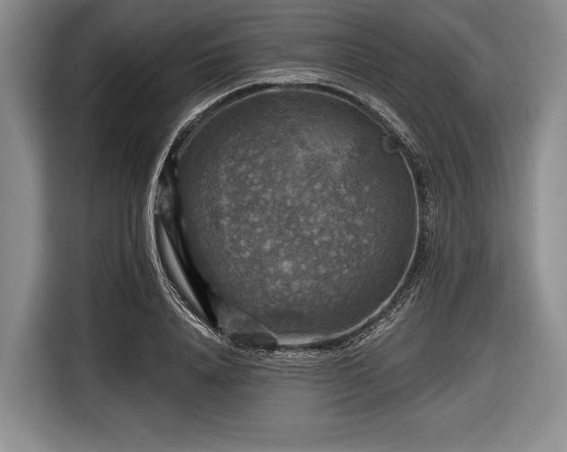 X0000116590840200912171552