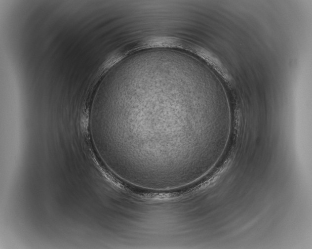 X0000116590841200912171552