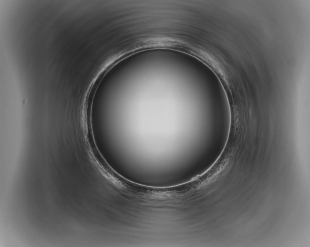 X0000116590843200912171552